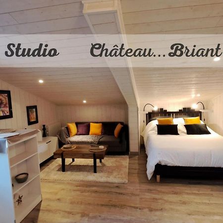 Studio-Centre Ville Châteaubriant 外观 照片