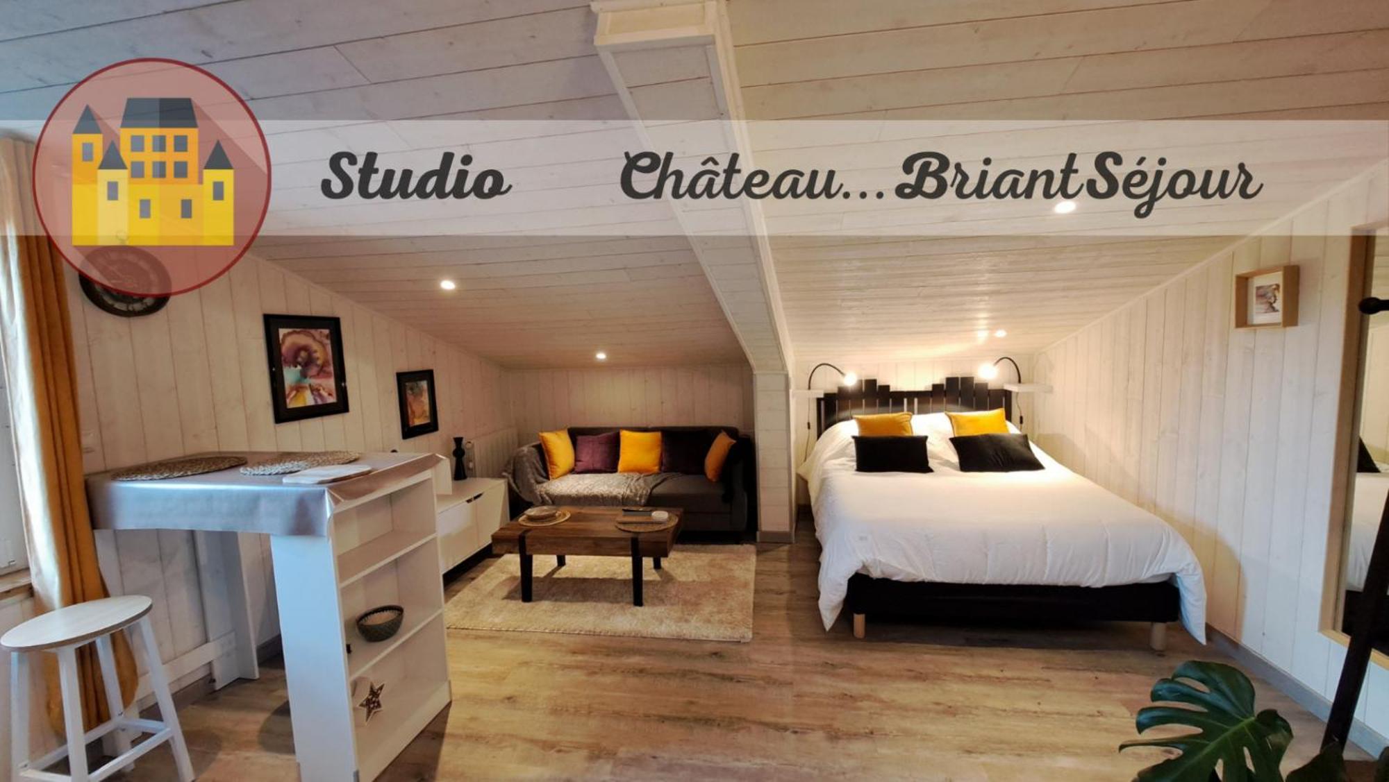 Studio-Centre Ville Châteaubriant 外观 照片